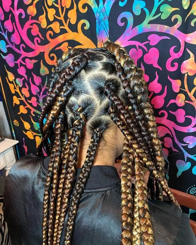 Box Braids with a Heart-Shaped Design