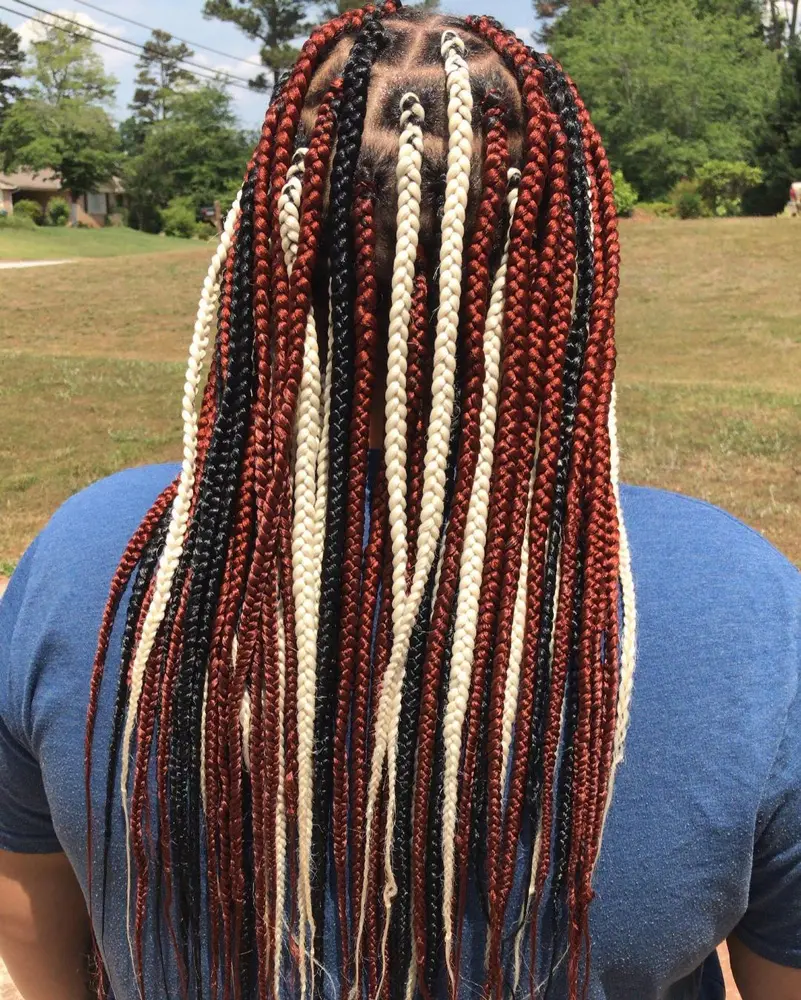 Box Braid Multi Colored